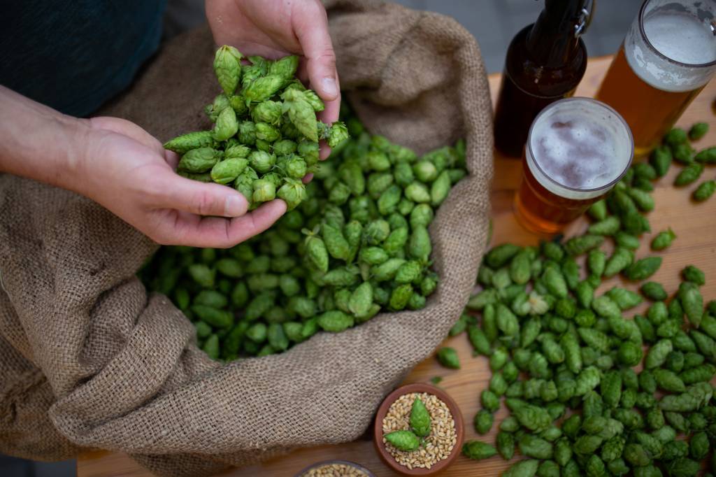 bière maison